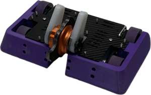 Bagheera in May 2025