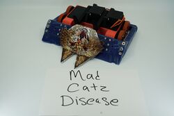 Mad Cat Disease in September 2019