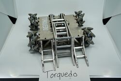 Torquedo in August 2019