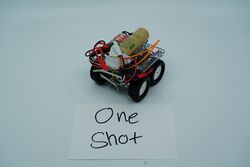 One Shot in May 2019