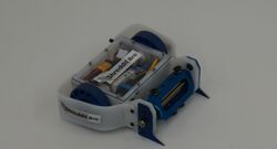 Shreddit Bro in January 2021