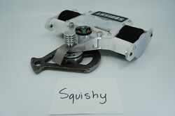 Squishy in January 2019