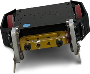 ChestPop! in June 2025