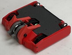 Red Panda in May 2023