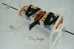 Tiny Huge in January 2019