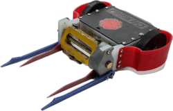 Off Killter in July 2022