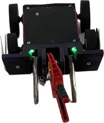 Stag Beetle Bot in August 2023