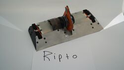 Ripto in November 2020