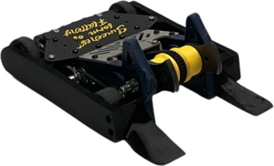 Wascally Wabb3t in June 2025