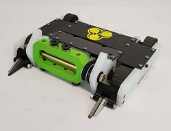 Apex Predator in November 2021