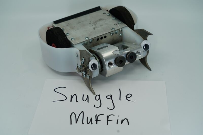 File:Snuggle Muffin Jan-2020.jpg