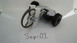 Sepi01 in November 2020