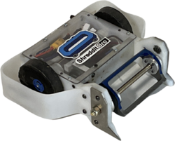 Shreddit Bro in April 2022