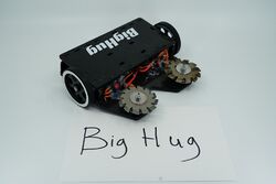 Big Hug in November 2019