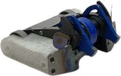 Hound in September 2022