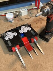 Bean Supreme in August 2023