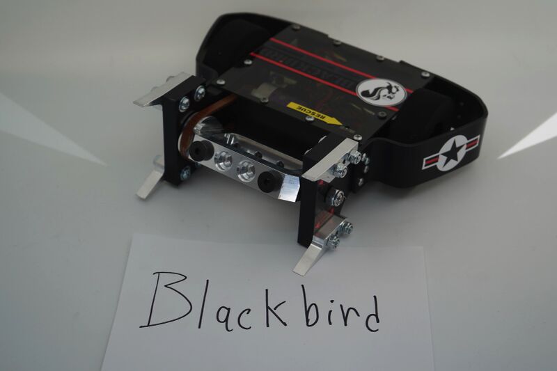 File:Blackbird.jpg