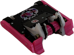 Liberation in June 2023