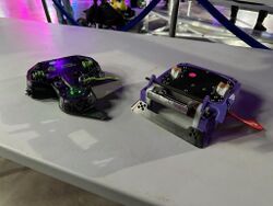 Blunder and Silent Spring before a quarterfinals match, February 2025