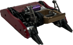 Carmen in September 2022