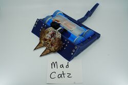 Mad Cat Disease in March 2019