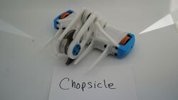 Chopsicle in November 2020