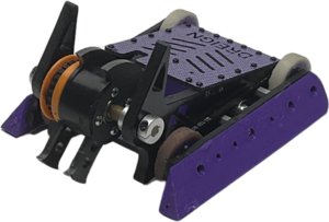 Dreign in April 2025