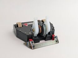 Jack Rabbit in July 2021