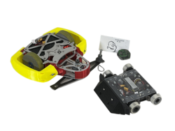 Cutthroat Cuttles in May 2023