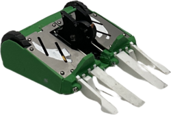 Hodag in June 2025