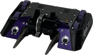 Snuggle Muffins in June 2025