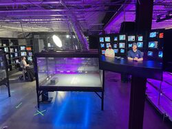 NHRL studio with cage in view, March 2021