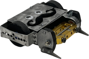 A Hairy Thing in May 2025