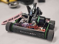 Chainsaw Kitty rear in March 2023