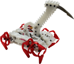 Spine Crawler in July 2022