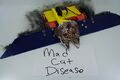 Mad Cat Disease July-2020.jpg