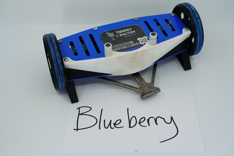 File:Blueberry July-2020.jpg