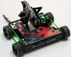 Chainsaw Kitty rear in August 2023