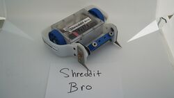 Shreddit Bro in November 2020 (High-Res)