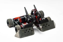 Chainsaw Kitty at the 2024 Championships