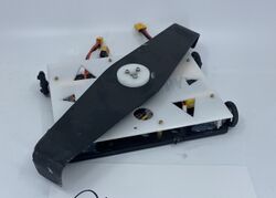 Choppy in September 2019