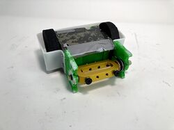 Mr. Pickles in May 2021