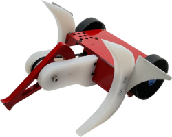 Backlash Wave in July 2022