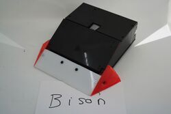 Bison in November 2020