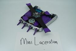 Mini Laceration in August 2019