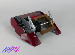 Carmen graphic from April 2022