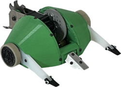 Turtlezilla in June 2023