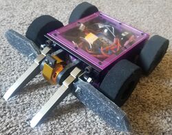 Stag beetle bot in September 2022