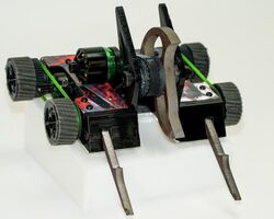 Chainsaw Kitty in August 2023