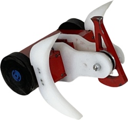 Backlash Wave in May 2022